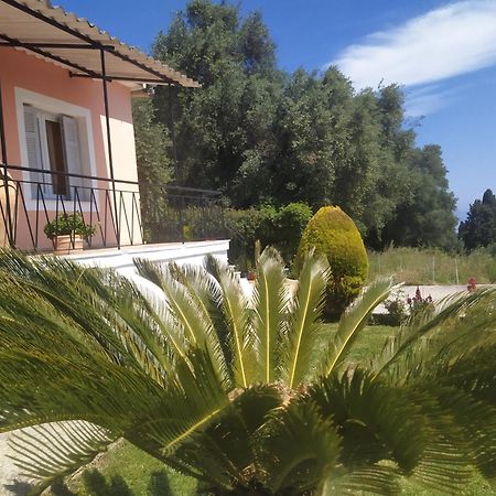 Roza'S Home And Studios Benitses  Rom bilde